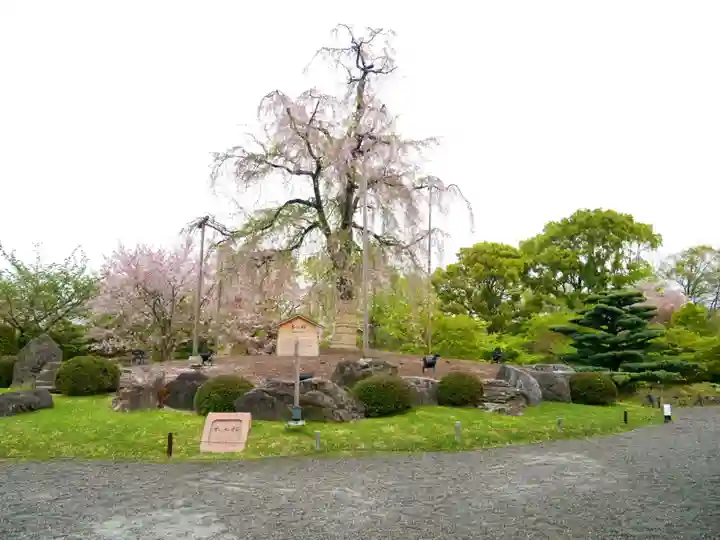 東寺(教王護国寺)の自然