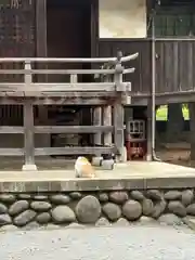 雀神社(茨城県)