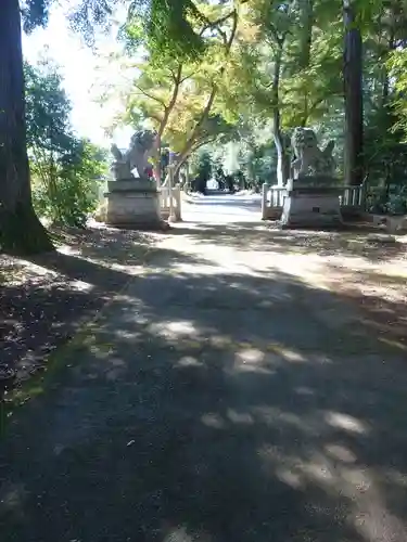 鹿嶋神社の狛犬