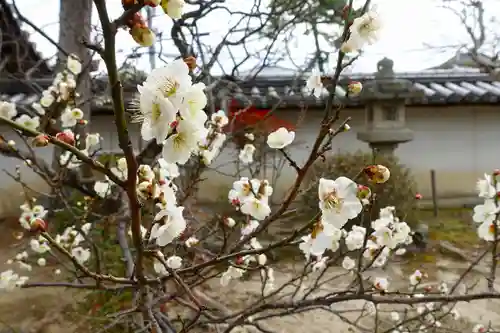 菅原天満宮（菅原神社）の自然