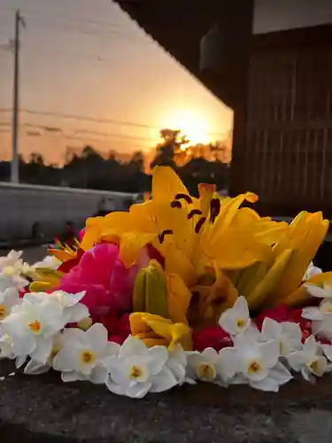 真言宗　善通寺派　薬王寺(香川県)