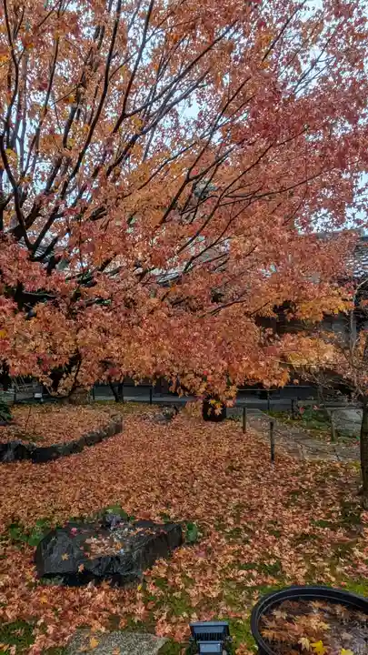 勝林寺(京都府)