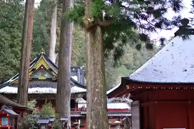 日光二荒山神社(栃木県)