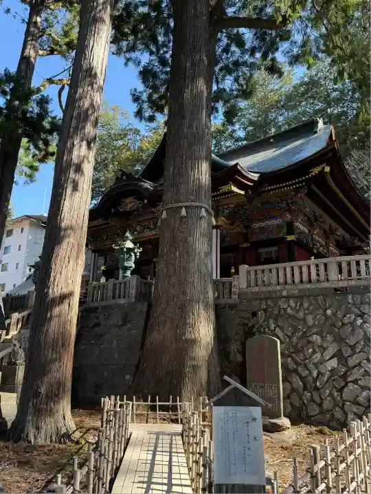 三峯神社(埼玉県)