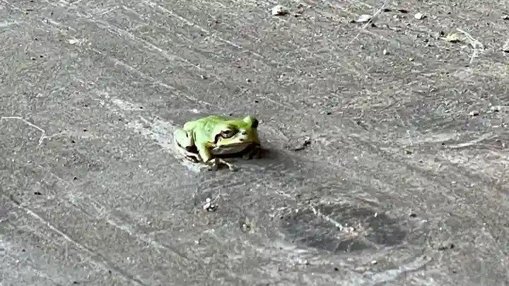 青竜寺(山形県)