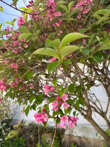 時光寺(兵庫県)