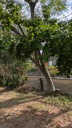 西福寺(京都府)