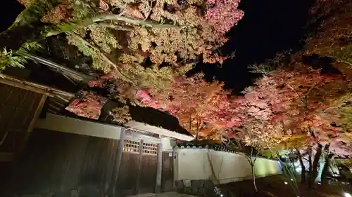 宝厳院(京都府)