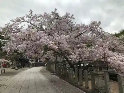 粉河寺(和歌山県)
