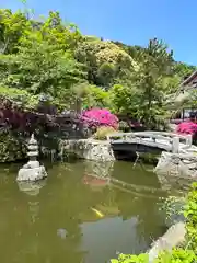 矢田寺(奈良県)