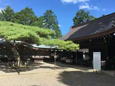 尾張冨士大宮浅間神社(愛知県)