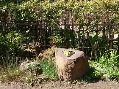 實相寺（実相寺）の手水舎