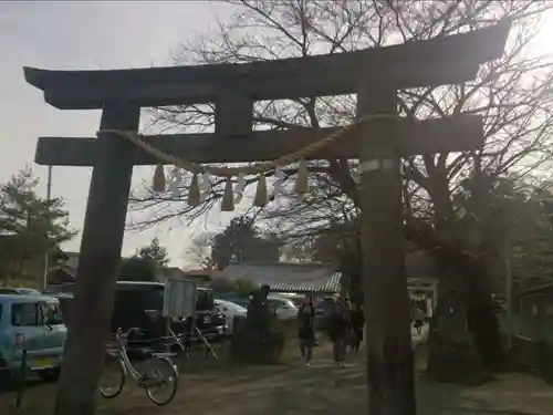 前玉神社の鳥居