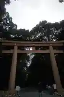 明治神宮の鳥居