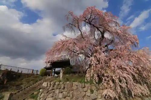 長興寺の山門