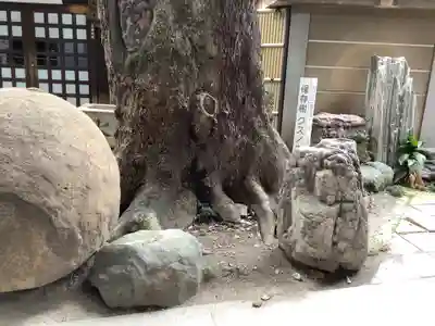 乾徳寺(愛知県)