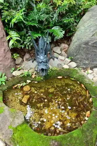 田無神社の手水舎