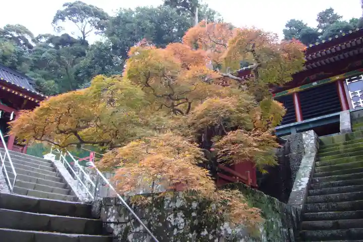 久能山東照宮のその他建物