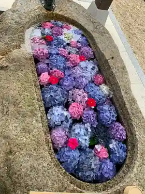 金井神社の手水舎
