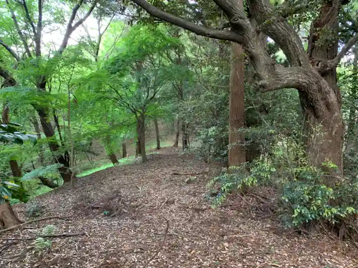 箱根神社(千葉県)