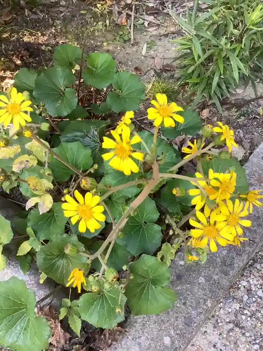 富部神社の自然
