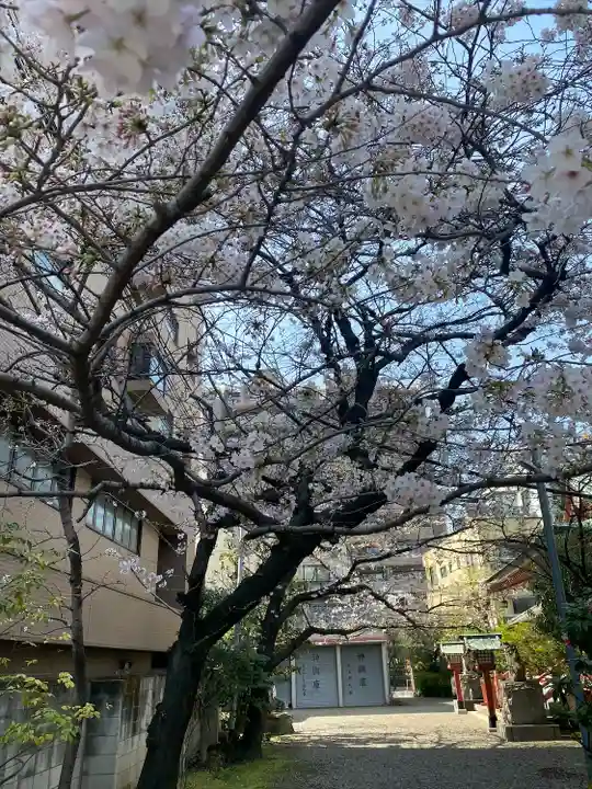 秋葉神社(東京都)