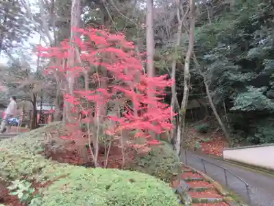  智積院(京都府)