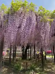 玉敷神社(埼玉県)