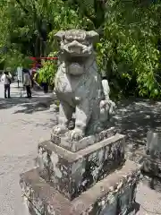 伊豆山神社の狛犬