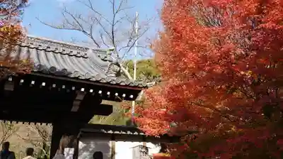 龍安寺の山門・神門