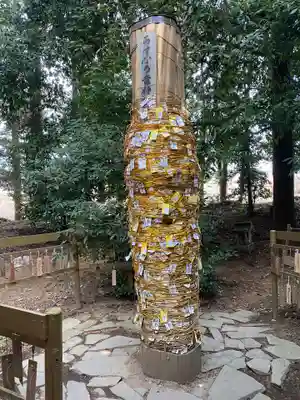 下野 星宮神社(栃木県)