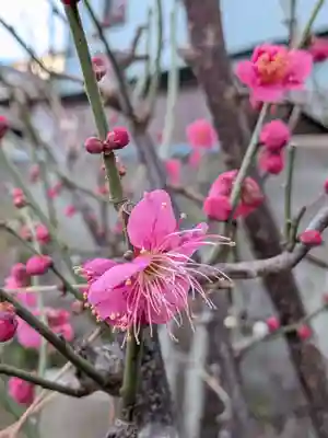 田端神社(東京都)