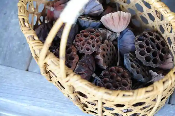 浄土寺(兵庫県)