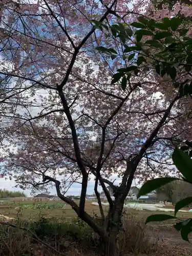 葦不合神社(千葉県)