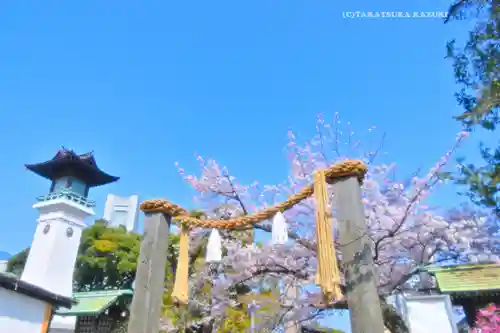伊勢山皇大神宮(神奈川県)