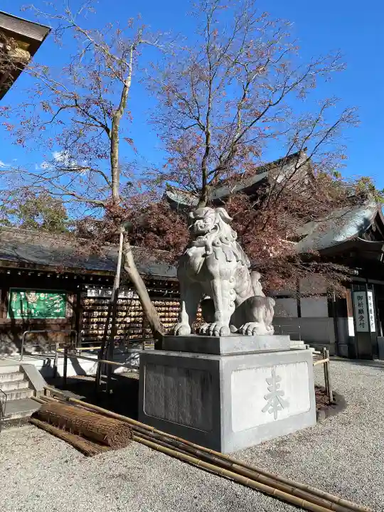 寒川神社の狛犬