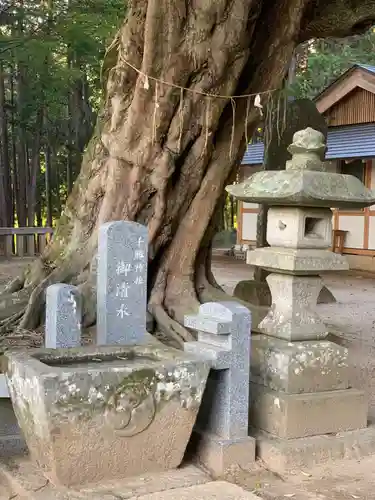 雨引千勝神社の手水舎