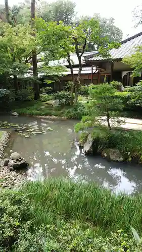 明月院の庭園