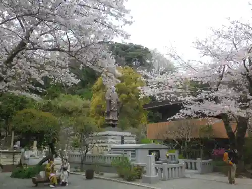 妙本寺の庭園