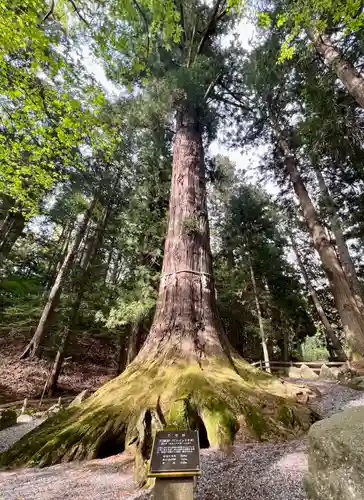 河口浅間神社(山梨県)