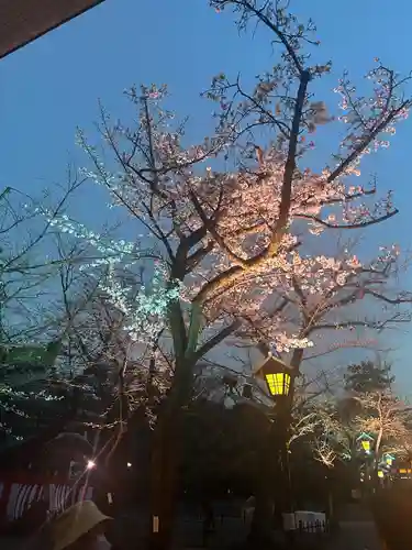 靖國神社(東京都)