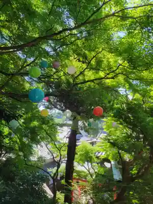 柳谷観音　楊谷寺(京都府)