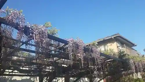 西方山極楽寺(岐阜県)