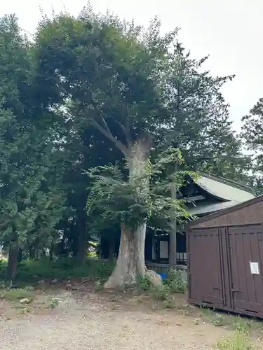 御嶽神社(神奈川県)