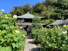 瑞泉寺(神奈川県)