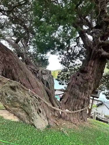 寶生院(香川県)
