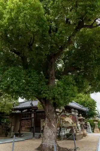 菅原神社(大阪府)