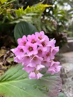 徹心寺(兵庫県)