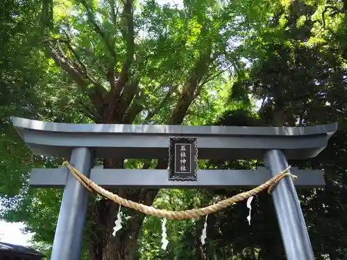 五社神社の鳥居