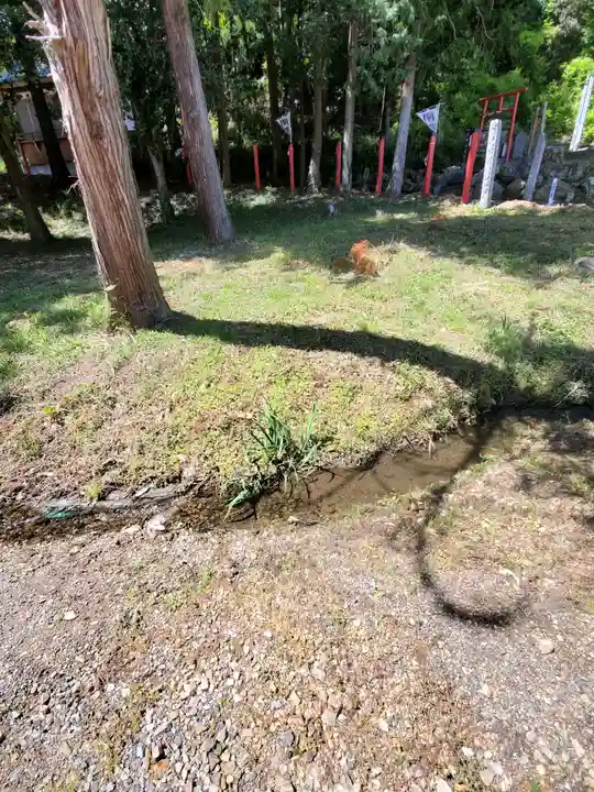 樺崎八幡宮(栃木県)